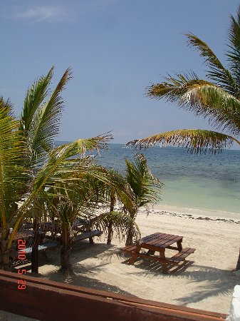 DSC04976