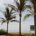 DSC06004