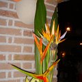 DSC06030