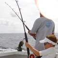 DSC06158