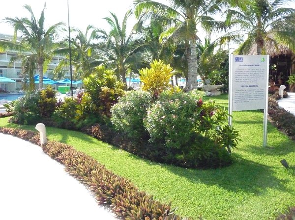 mexico_110