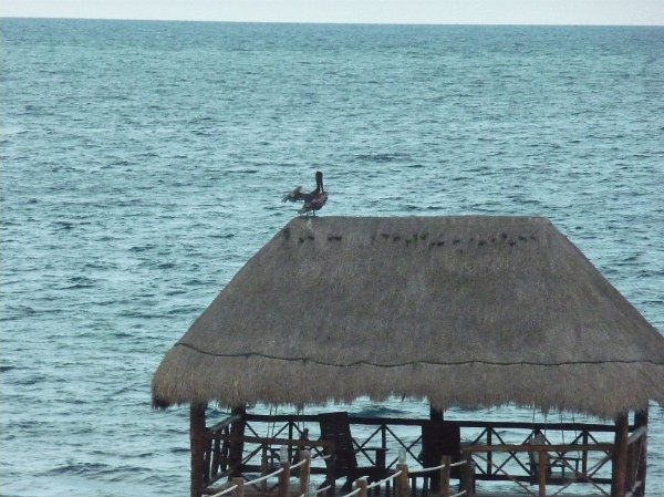 mexico_304