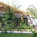 mexico_116
