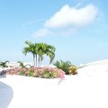 mexico_117