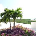mexico_129
