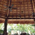 mexico_142