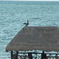 mexico_304