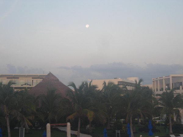 DSCN5865
