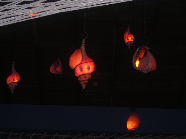 DSCN6119