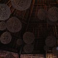 DSCN5809
