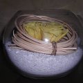 DSCN5848