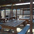 DSCN5893