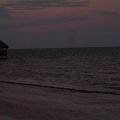 DSCN6016