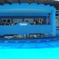 DSCN6083