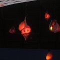 DSCN6119