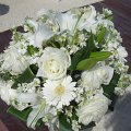 DSCN5895