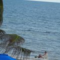 DSCN5957