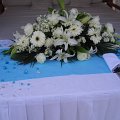 DSCN5975