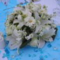 DSCN5976