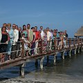 IMG_0381