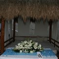 IMG_0610