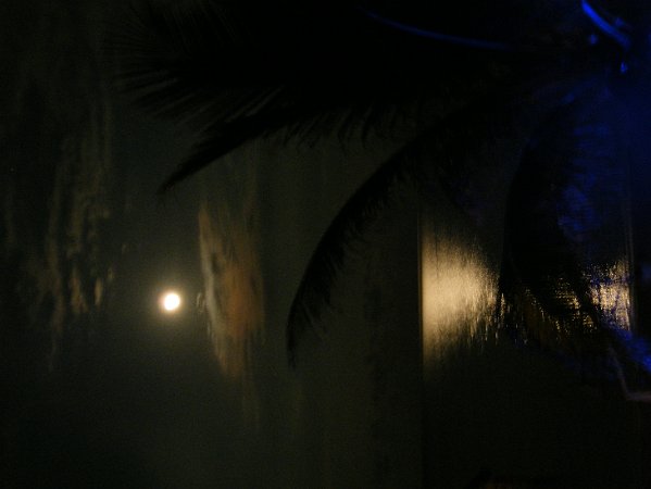 DSCF0539