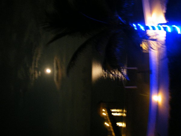 DSCF0541