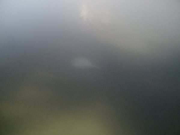 DSCF0545