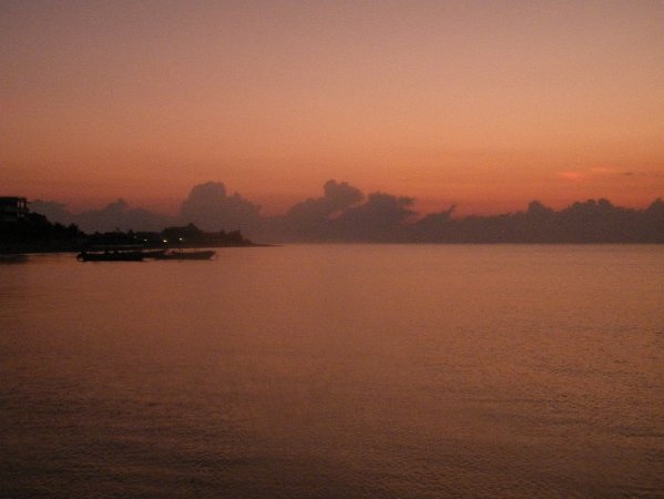 DSCF0546