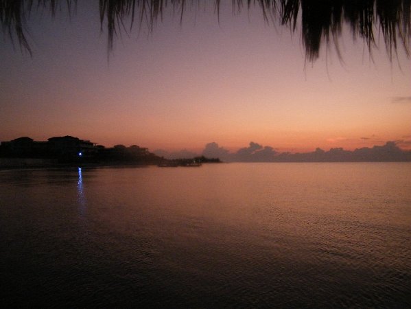 DSCF0548