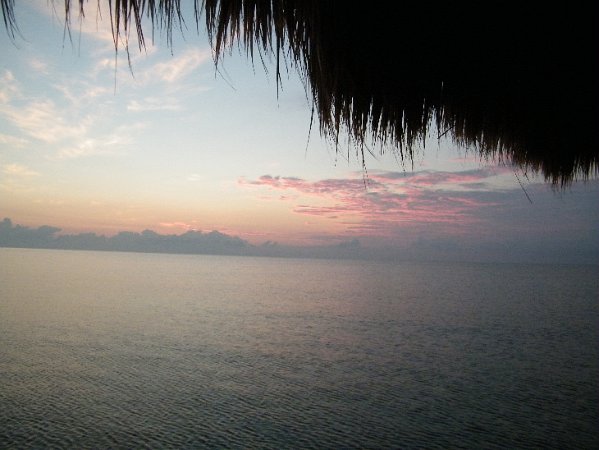 DSCF0554