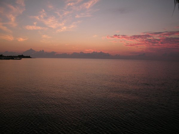 DSCF0555