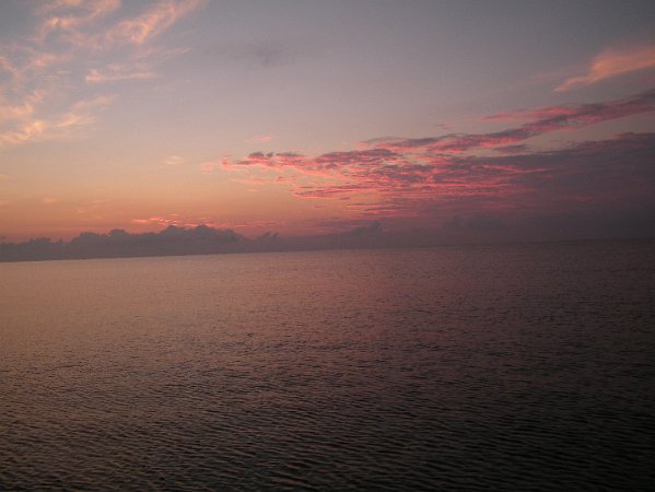 DSCF0556
