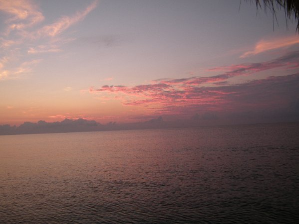 DSCF0557