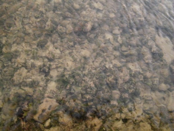DSCF0558