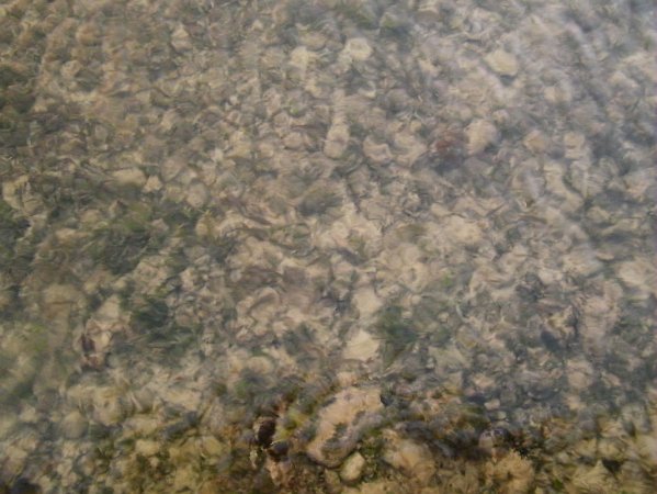 DSCF0559