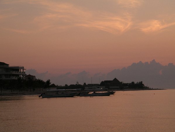 DSCF0563