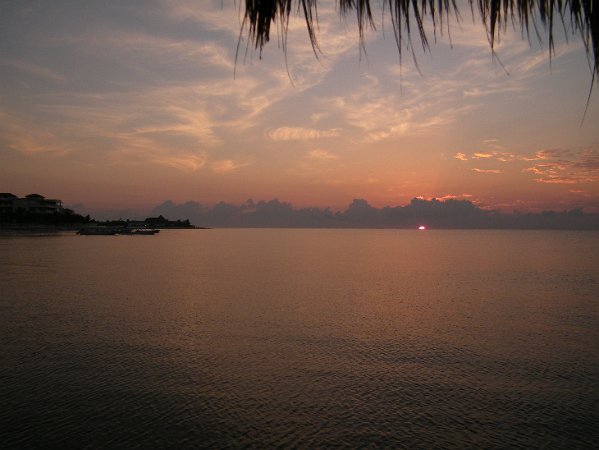 DSCF0566