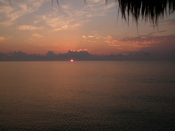 DSCF0567