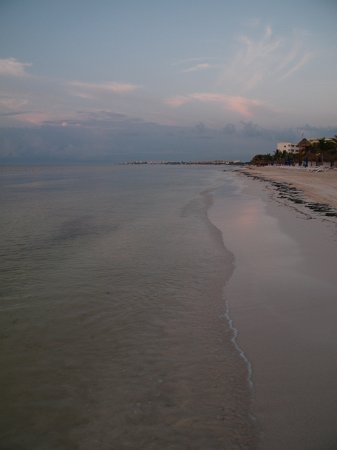 DSCF0577