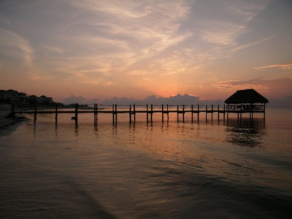 DSCF0579
