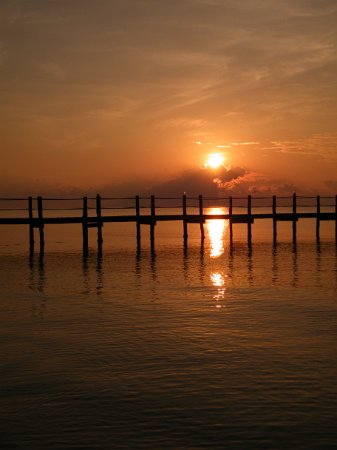 DSCF0595