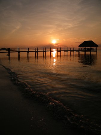 DSCF0596