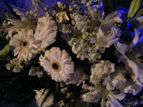 DSCF0902