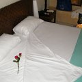 DSCF0334