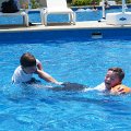 DSCF0384