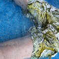 DSCF0429
