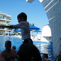DSCF0440