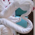 DSCF0477
