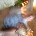 DSCF0493